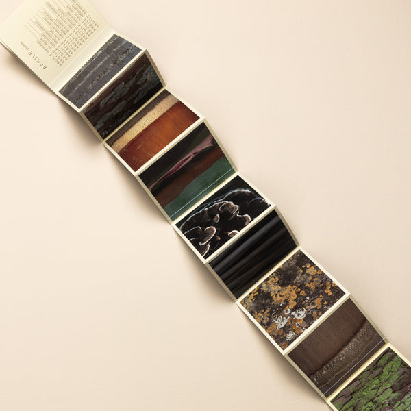 Terre colour chart