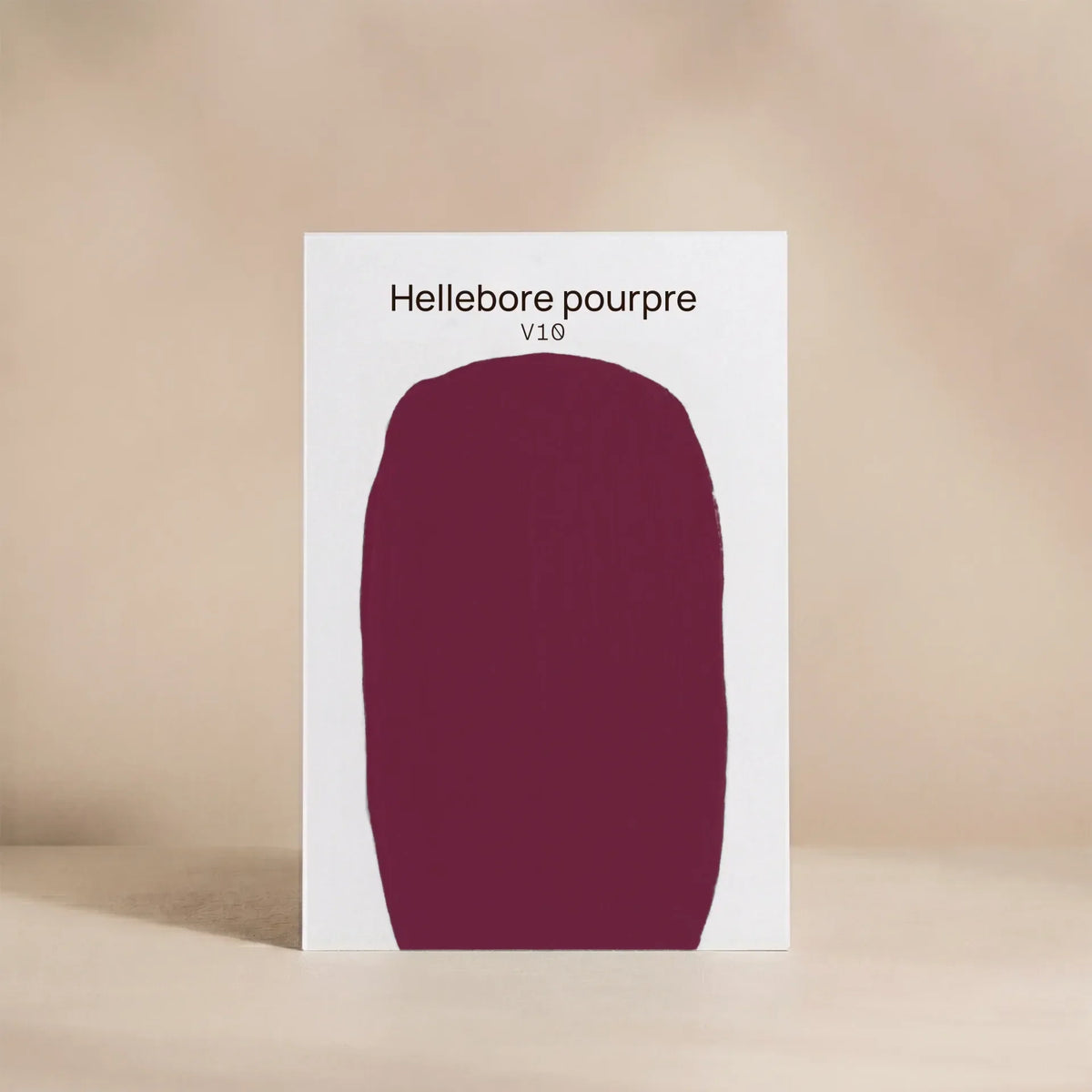 HELLEBORE POURPRE