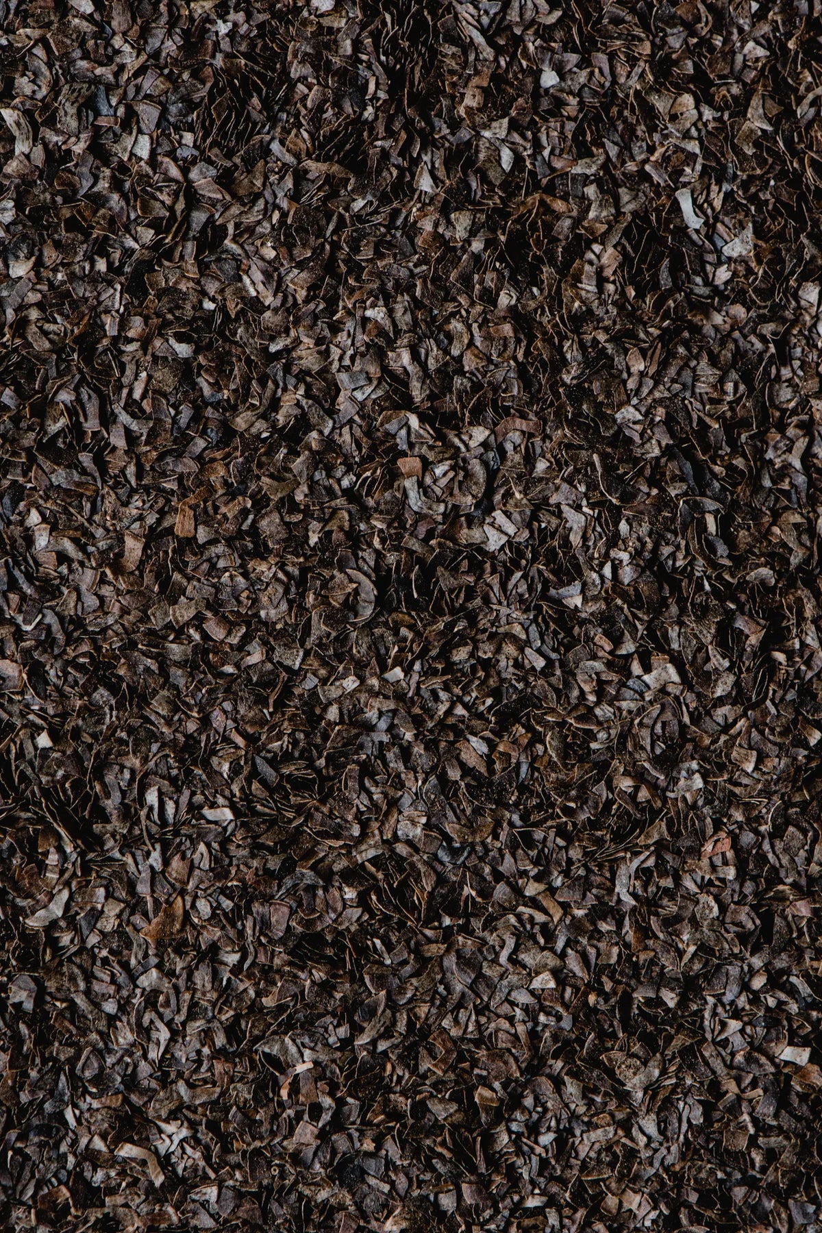 KOMBU BRUN