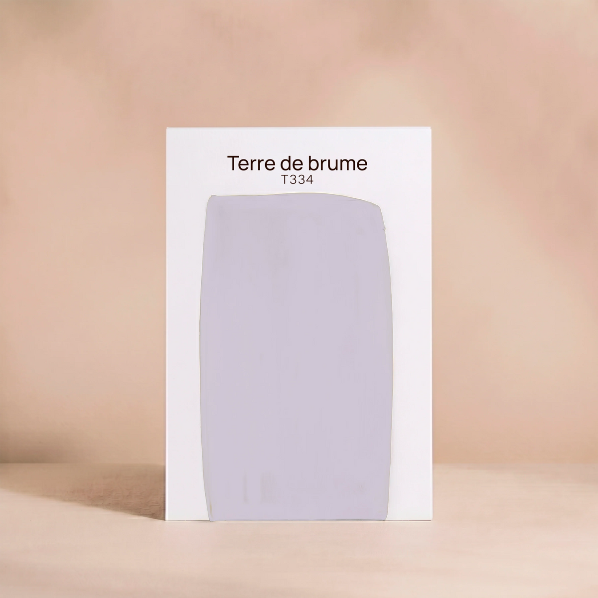 TERRE DE BRUME